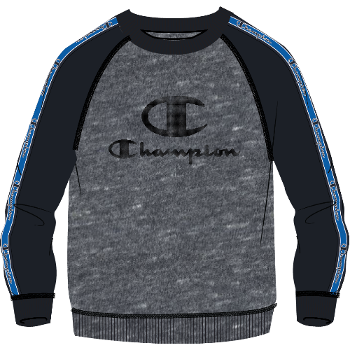 Sudadera Champion Legacy Avi Junior | Deportes Denim